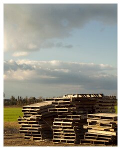 Stacks wooden cargo