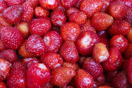 Strawberry muscat red vitamins