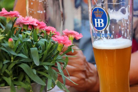 Beer bavaria flowers