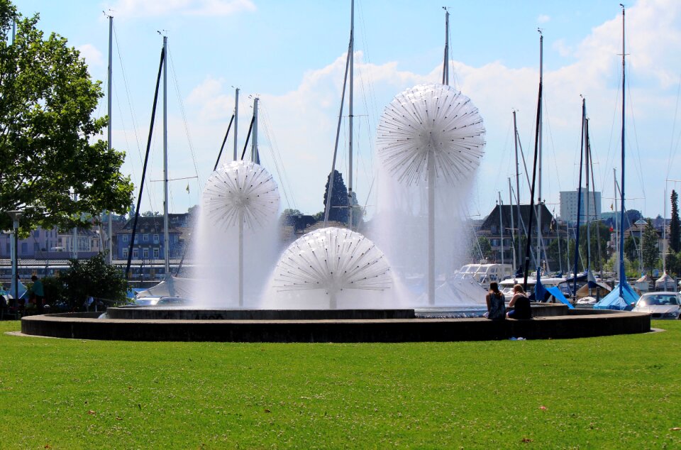 Dandelions romanshorn switzerland