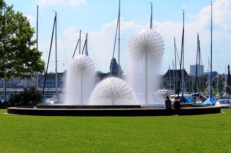 Dandelions romanshorn switzerland photo