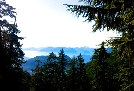 Spruce howe sound vista