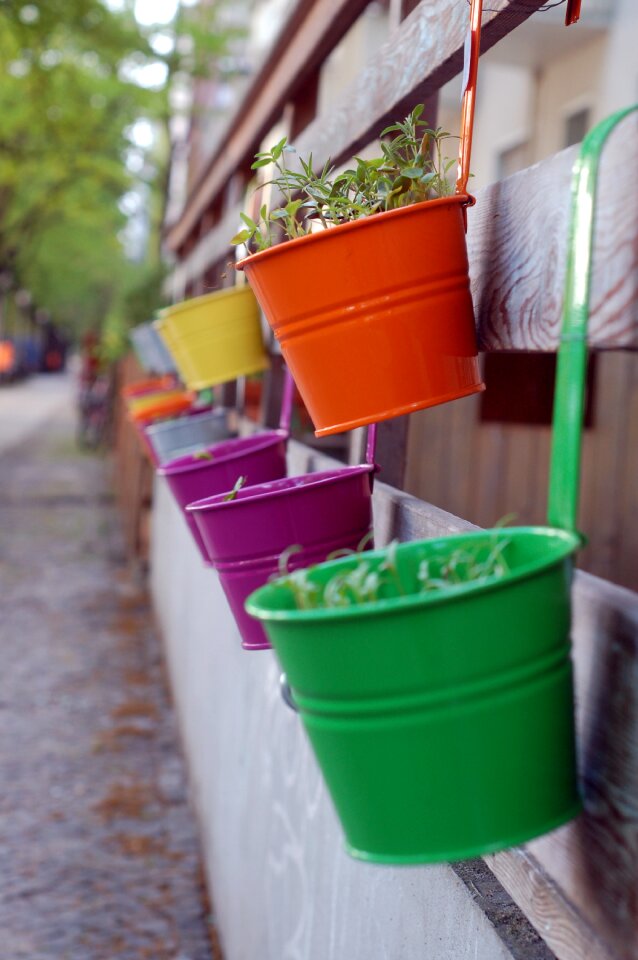 Flowers colors decoration