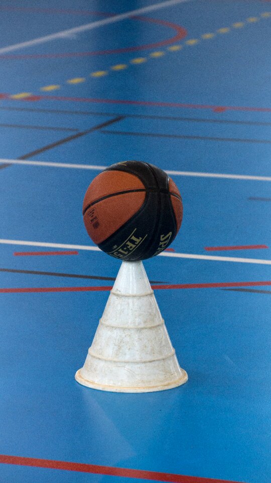 Ball gym activity