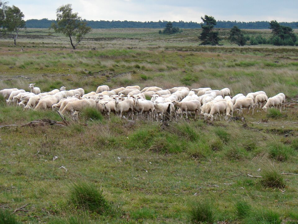 Together nature landscape