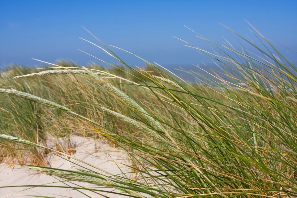 Ocean shore water