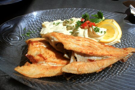 Eat hearty fish