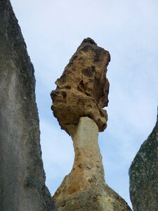 Stone rotten mushroom