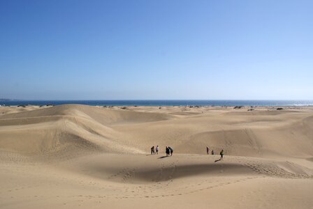 Dune beach sea