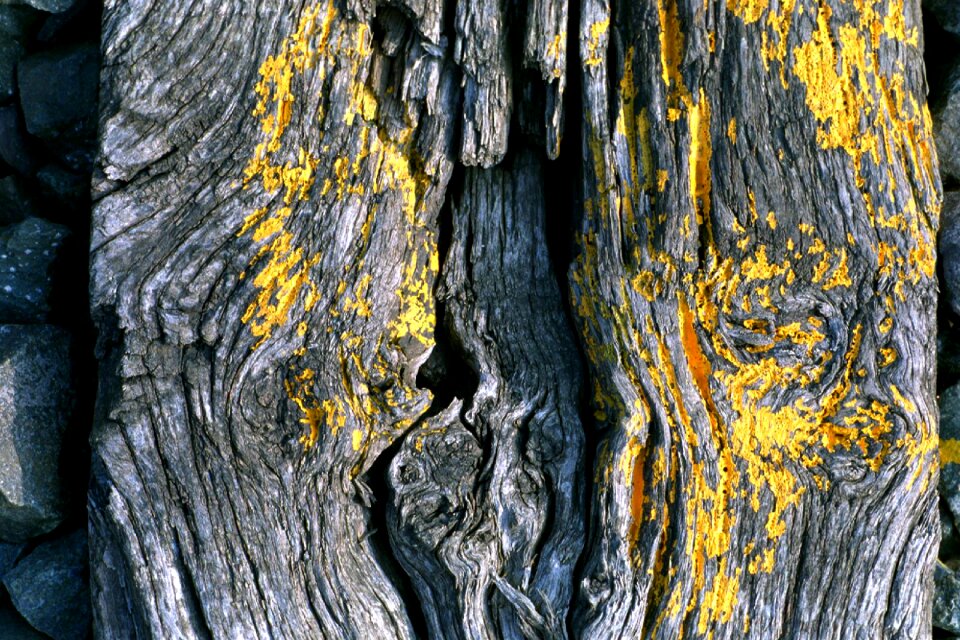 Naughty abstract yellow