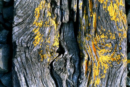 Naughty abstract yellow