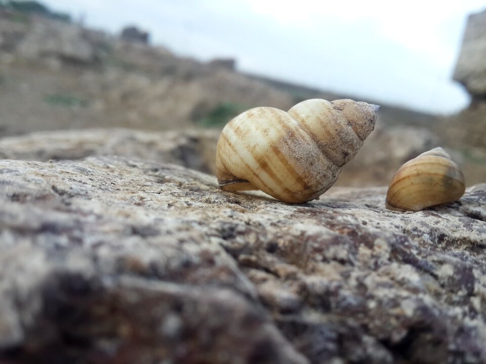 Nature rock stone