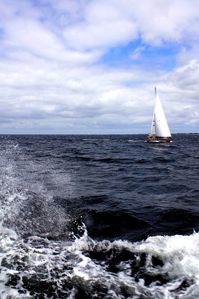 Water water sports sailor