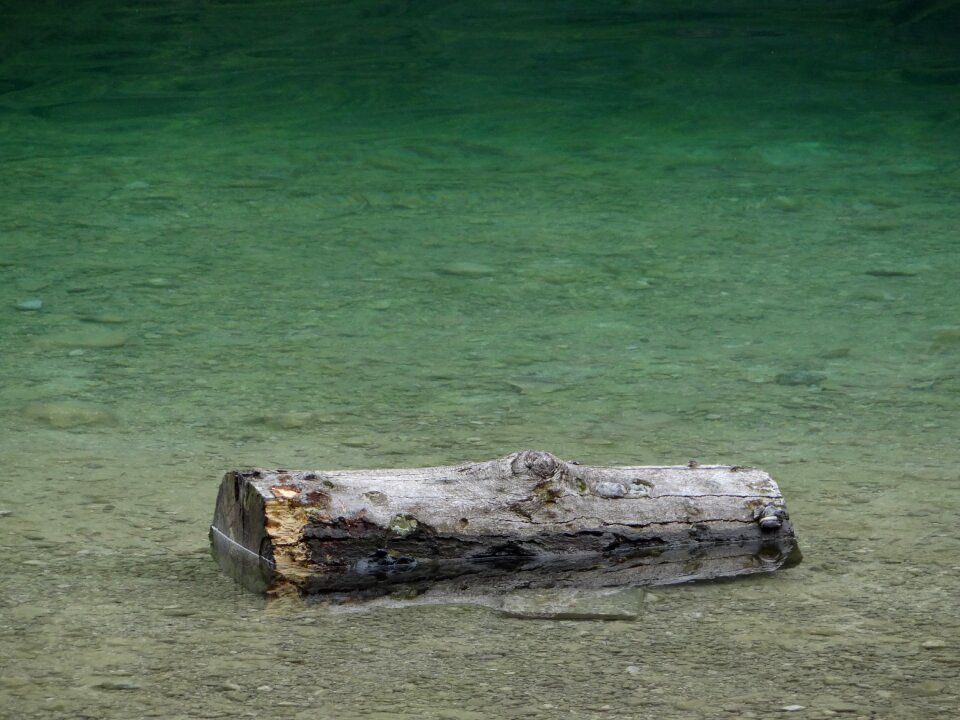 Green turquoise log