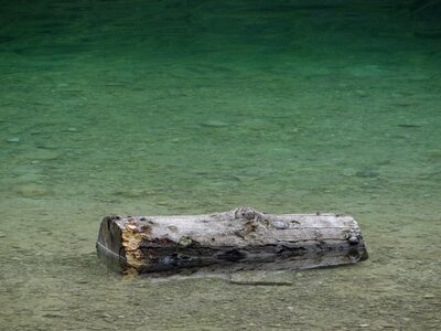 Green turquoise log