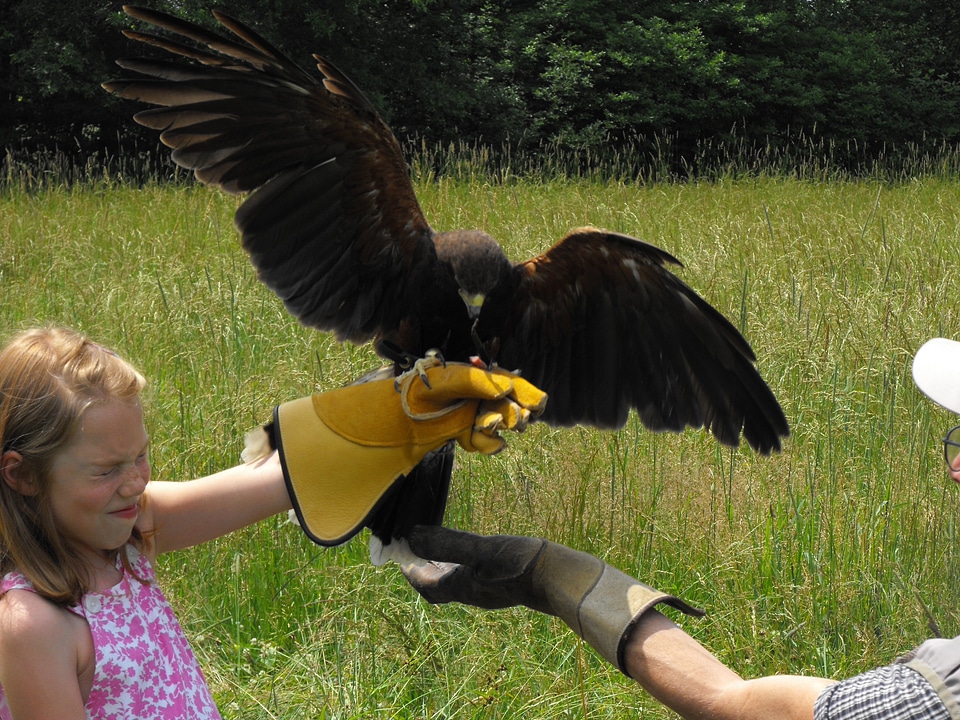 Child glove nature
