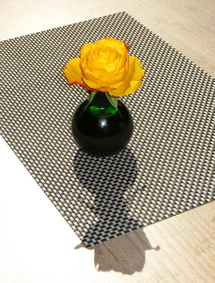 Flower rose table photo