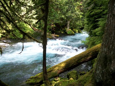 Nature summer landscape