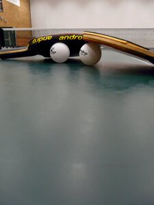 Table tennis bat sport play photo