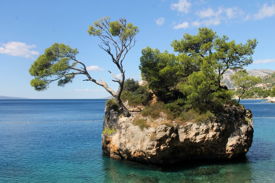 Sea bay nature