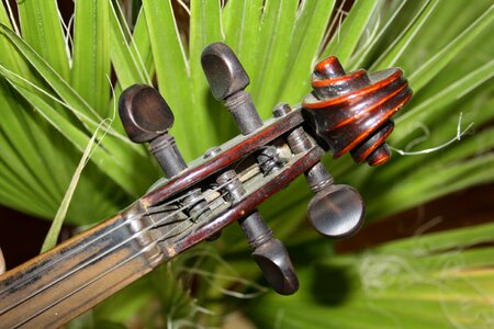 Sound stringed instruments minutes photo