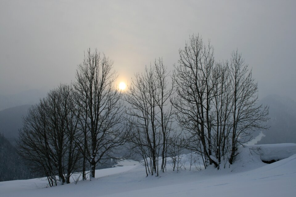Cold snow fog