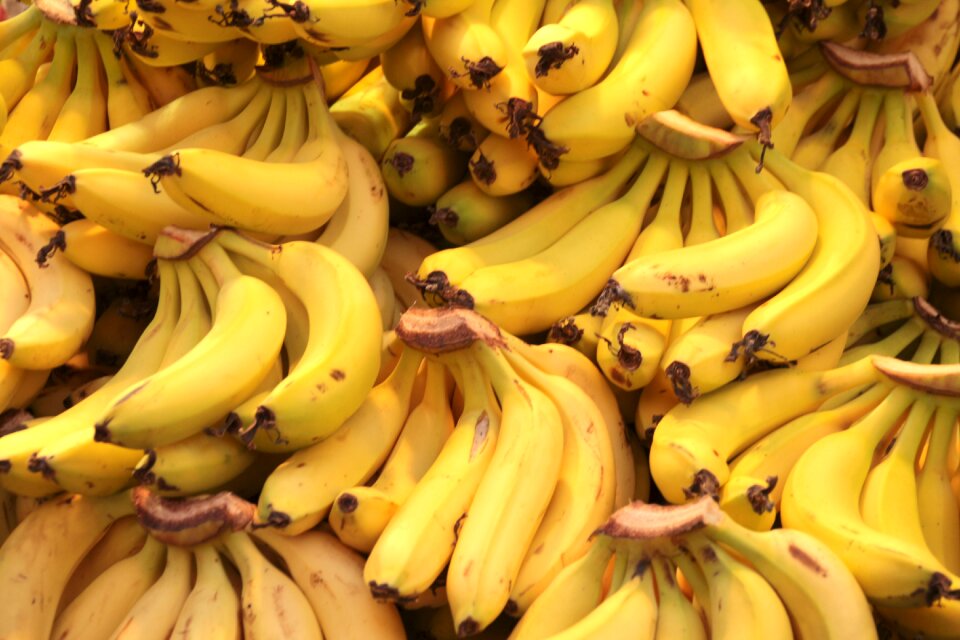 Food yellow healthy