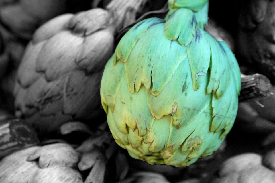Public record vegetables market