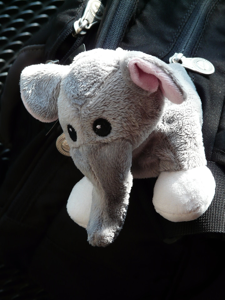 Toys teddy bear plush
