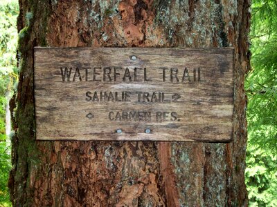 Hiking waterfall mckenzie river