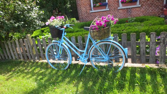 Flowers beautification front yard photo