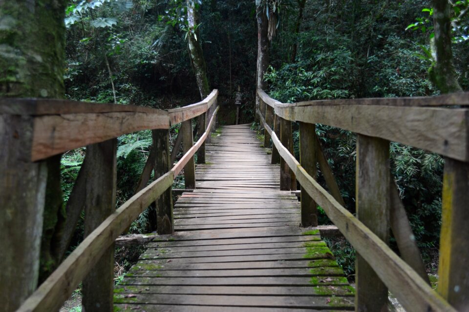 Bridge crossing wooden bridge