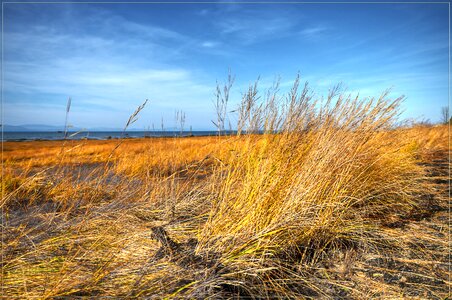 Sea yellow landscape photo