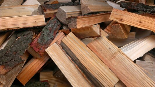 Growing stock firewood stack timber photo