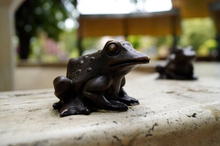 Frog statue fountain photo