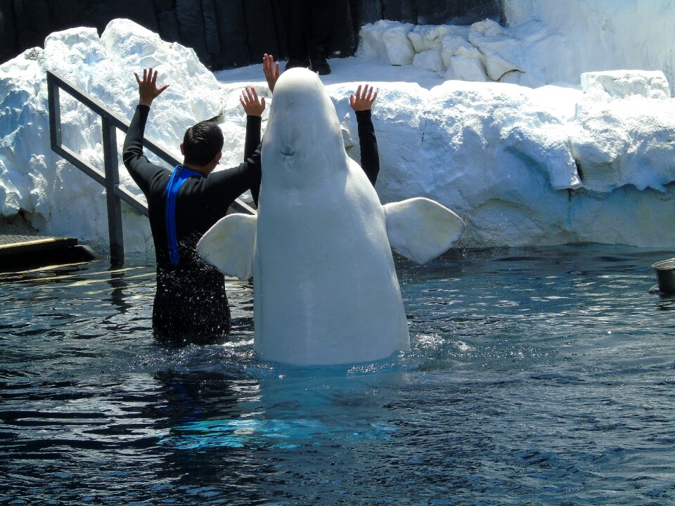 Aquarium zoo