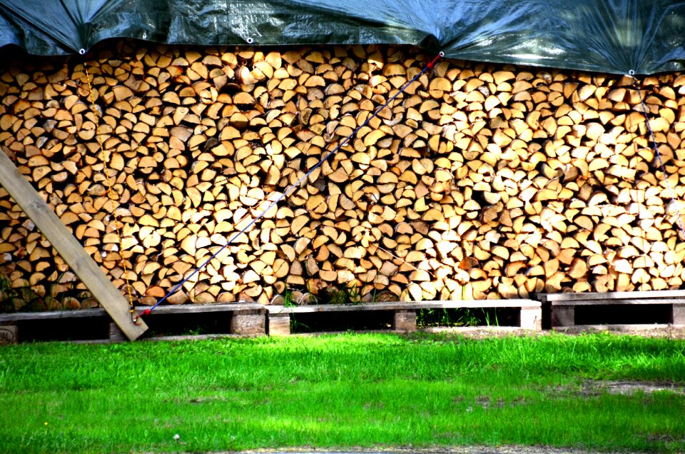 Swedish wood swedish summer