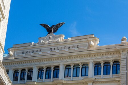 Eagle rome italy photo