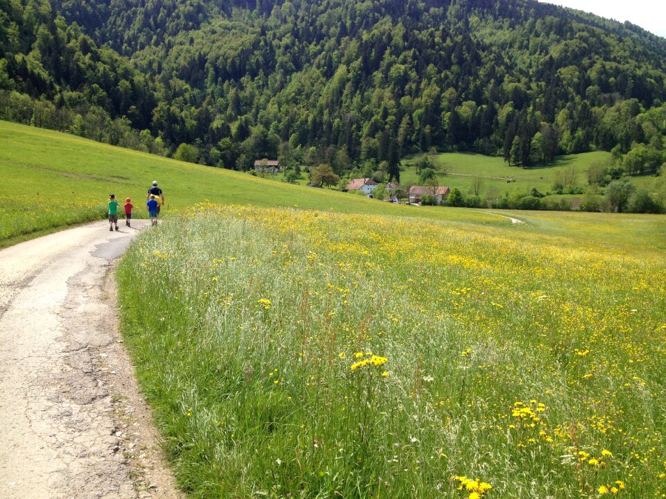 Away recovery trail