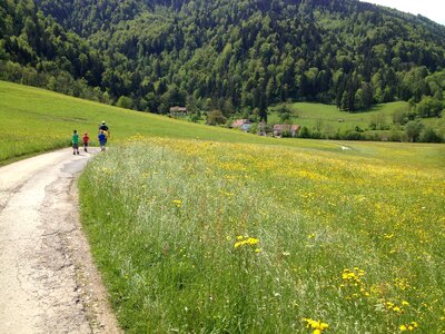 Away recovery trail