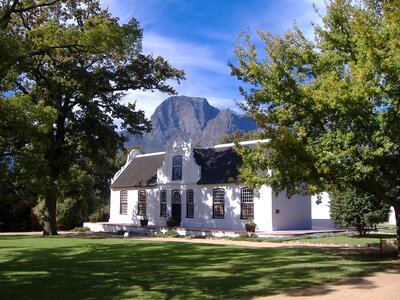 Vinyard south africa
