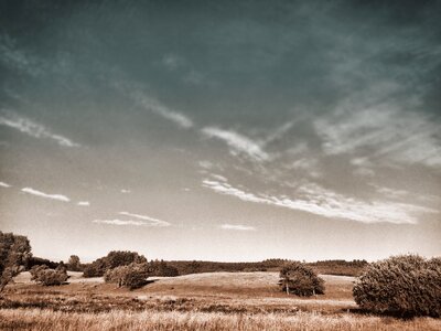 Dramatic meadow summer