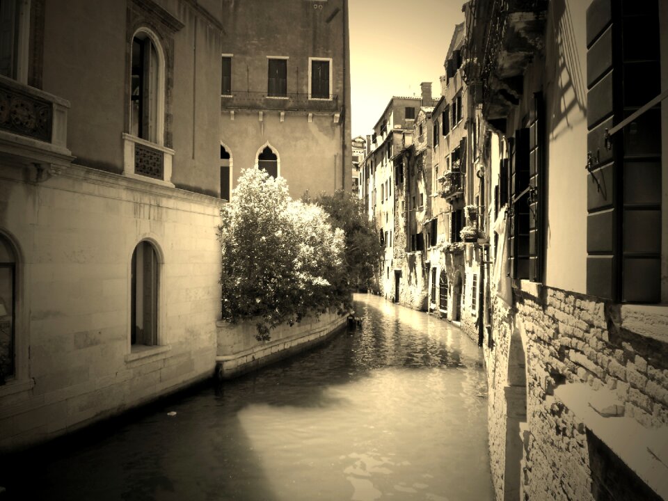 Water quiet venezia