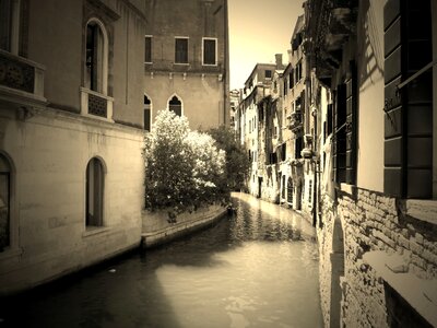 Water quiet venezia photo