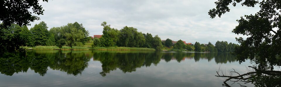 Water forest panorama