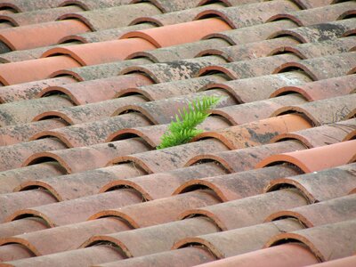 Branch catalonia house