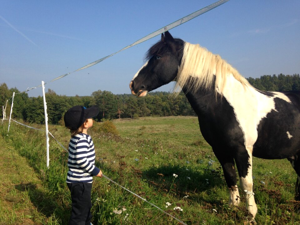 Horse children hage