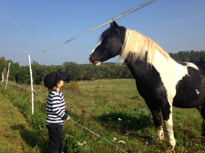 Horse children hage