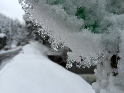 Winter macro snow photo