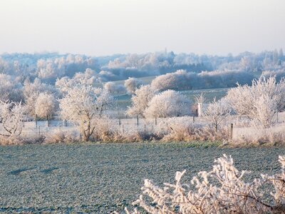 Frost icy hoarfrost